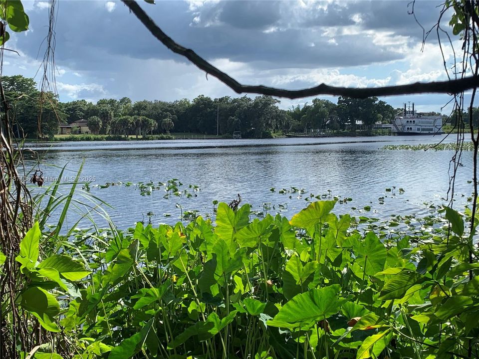 En Venta: $350,000 (1.63 acres)