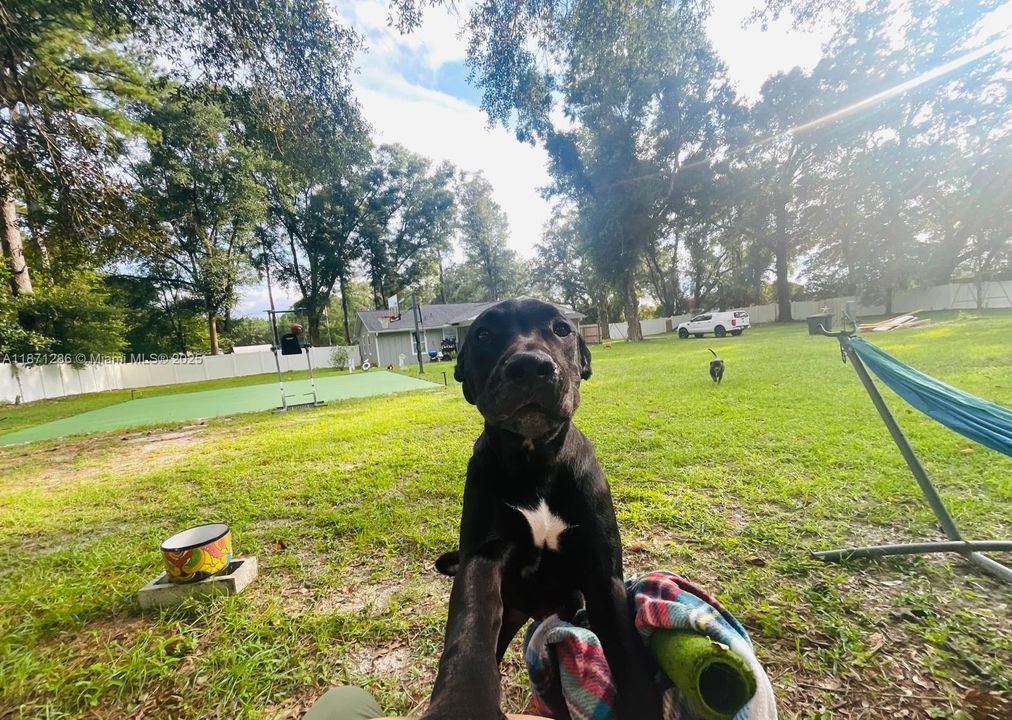 待售: $340,000 (3 贝兹, 2 浴室, 1796 平方英尺)