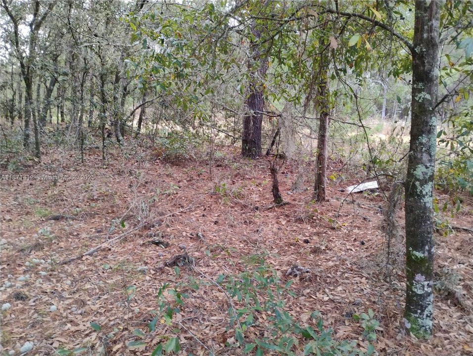 最近售出: $5,999 (0.22 acres)