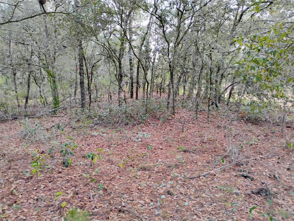 最近售出: $5,999 (0.22 acres)