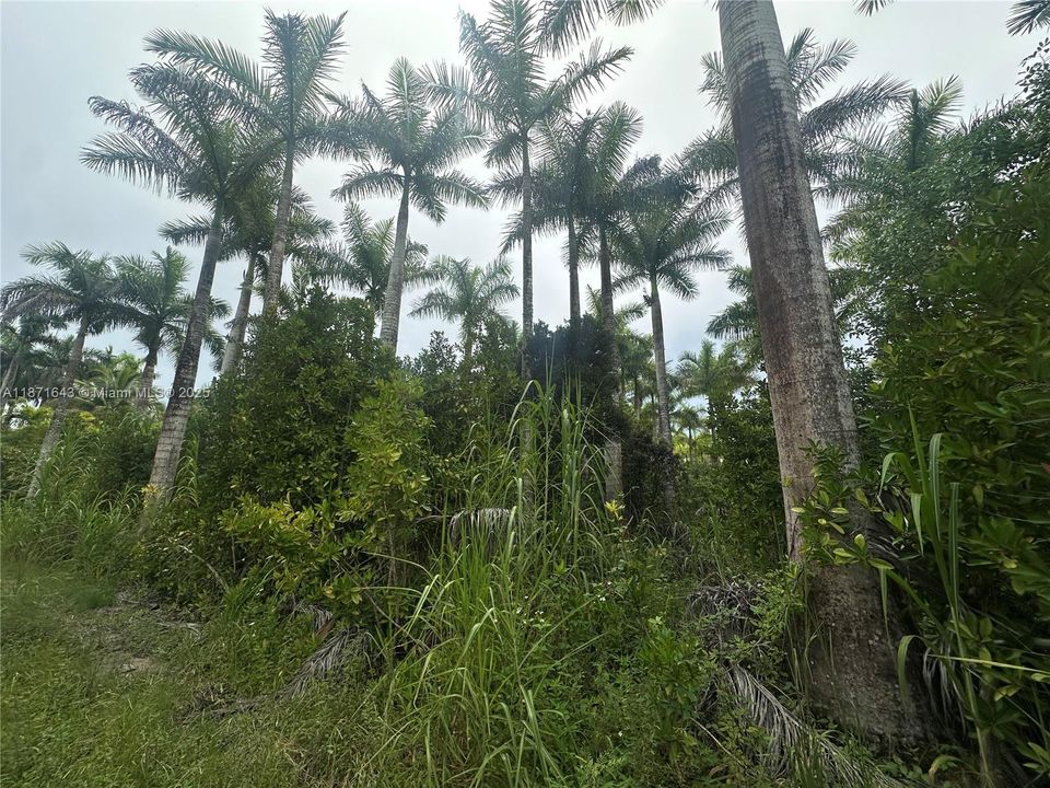 For Sale: $750,000 (0 beds, 0 baths, 0 Square Feet)