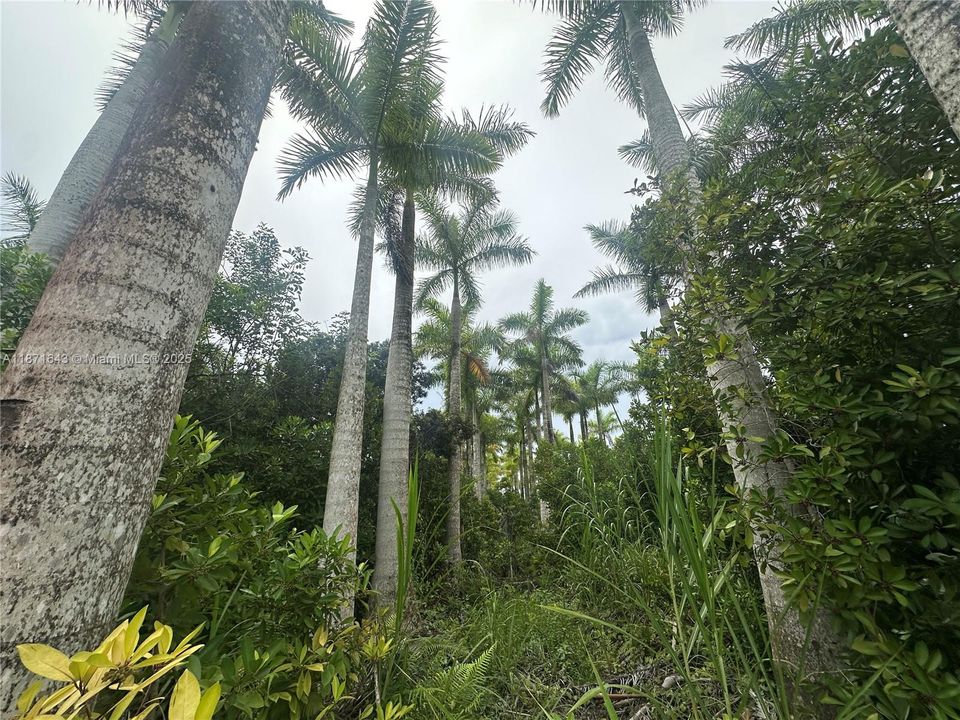 For Sale: $750,000 (0 beds, 0 baths, 0 Square Feet)