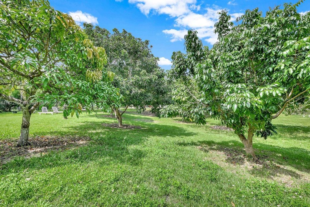 Recently Sold: $1,190,000 (3 beds, 2 baths, 1550 Square Feet)