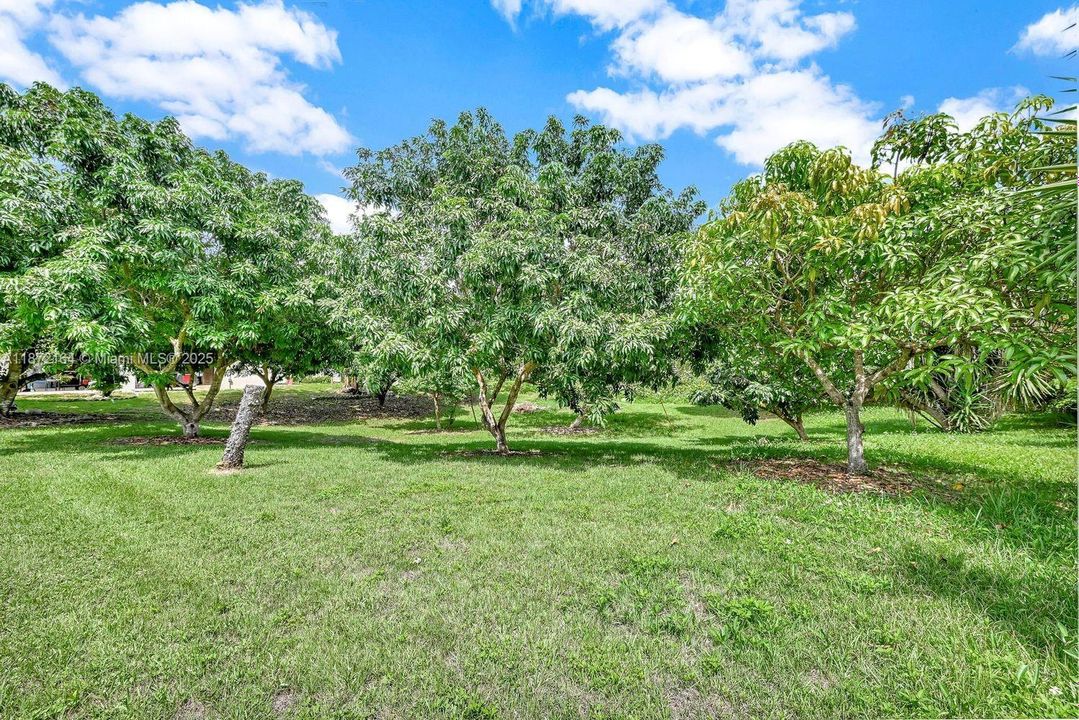 Recently Sold: $1,190,000 (3 beds, 2 baths, 1550 Square Feet)