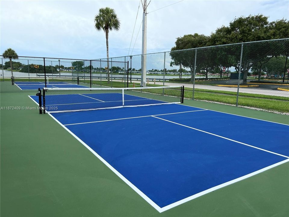 Pickle ball court