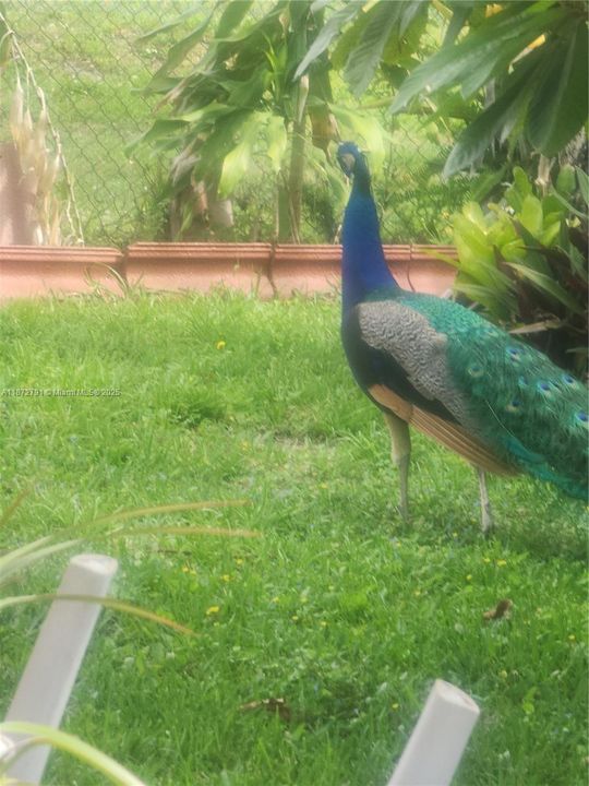 For Sale: $40,000 (0.55 acres)