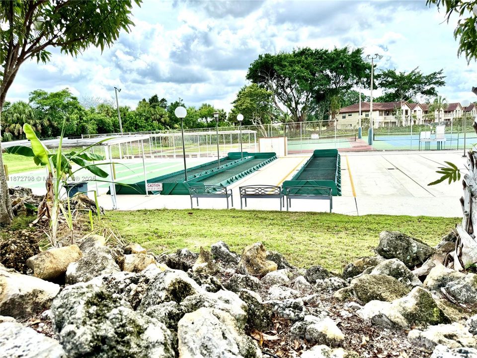 Pickleball, shuffel board, tennis