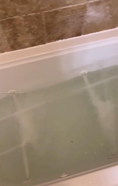 最近租的: $1,750 (1 贝兹, 1 浴室, 840 平方英尺)