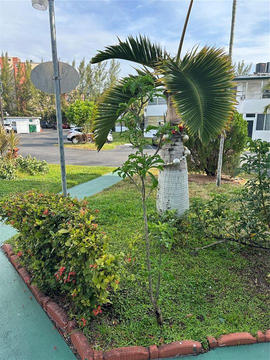 For Sale: $144,900 (1 beds, 1 baths, 660 Square Feet)