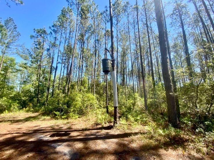 На продажу: $385,000 (111.53 acres)