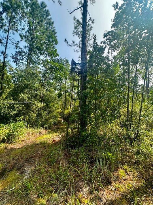 На продажу: $385,000 (111.53 acres)