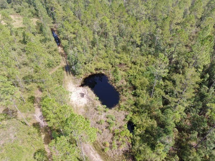 На продажу: $385,000 (111.53 acres)