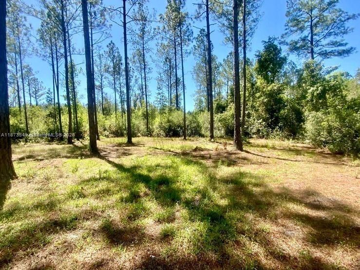 На продажу: $385,000 (111.53 acres)