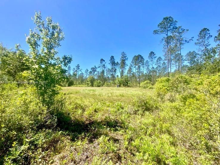 На продажу: $385,000 (111.53 acres)