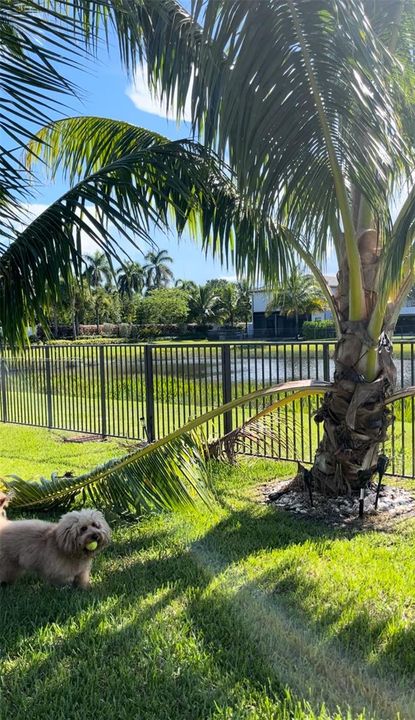 出租: $9,600 (4 贝兹, 3 浴室, 2318 平方英尺)