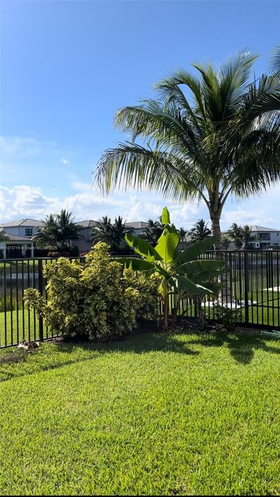 出租: $9,600 (4 贝兹, 3 浴室, 2318 平方英尺)