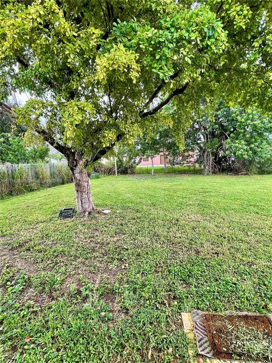 For Sale: $479,900 (3 beds, 2 baths, 1148 Square Feet)