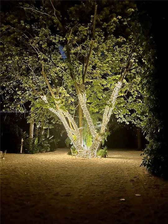 待售: $1,995,000 (3 贝兹, 3 浴室, 2405 平方英尺)