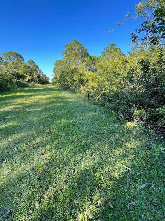 На продажу: $48,000 (1.25 acres)