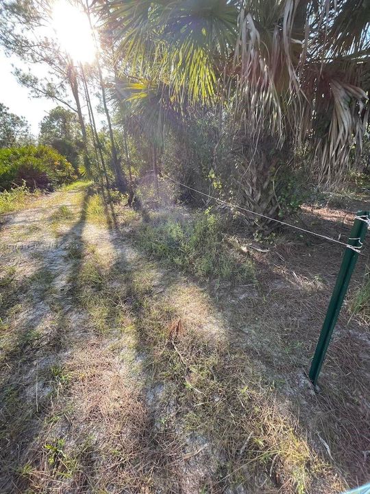 На продажу: $48,000 (1.25 acres)