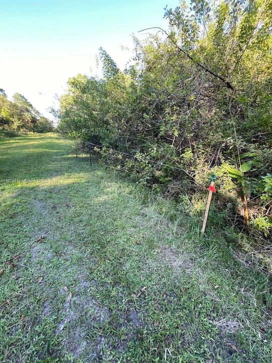 На продажу: $48,000 (1.25 acres)