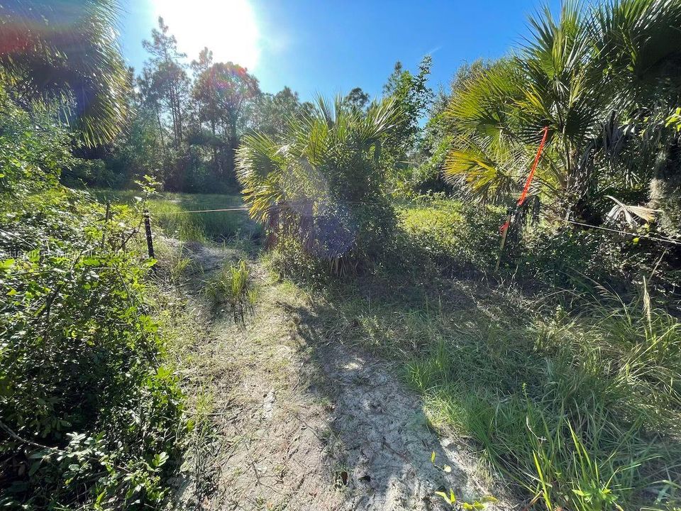 На продажу: $48,000 (1.25 acres)