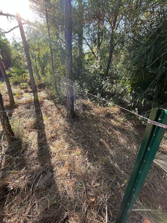 На продажу: $48,000 (1.25 acres)