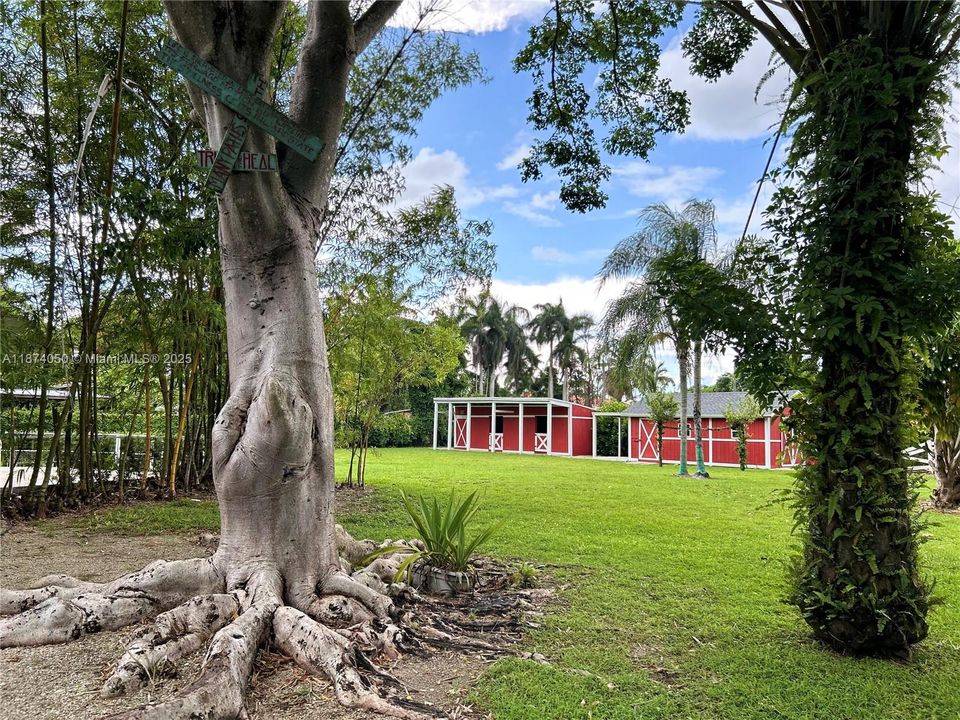 For Rent: $5,500 (4 beds, 2 baths, 2423 Square Feet)