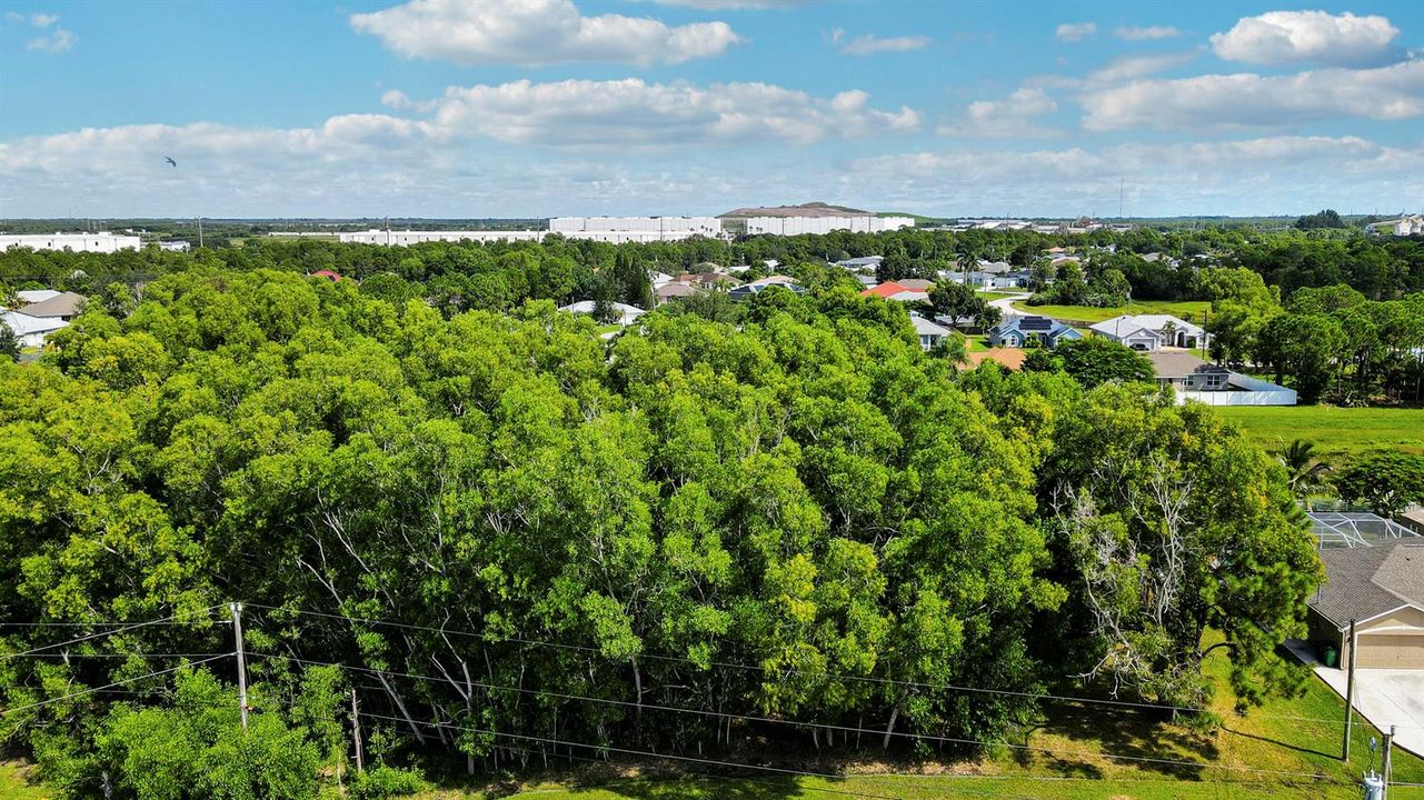 Aerial view