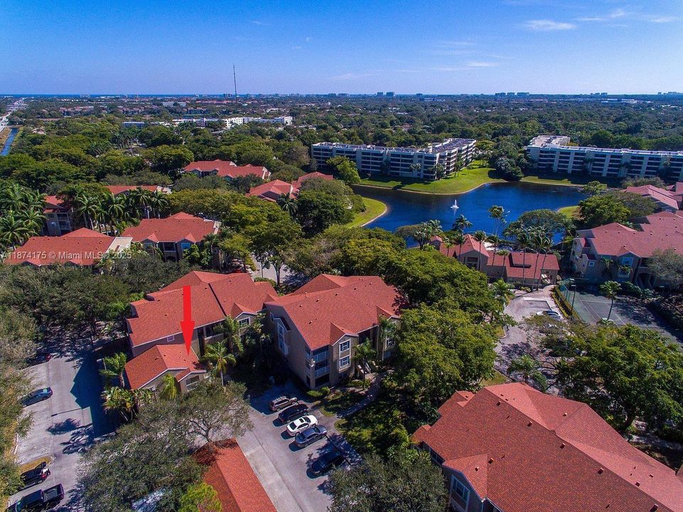 合同活跃: $1,900 (1 贝兹, 1 浴室, 636 平方英尺)