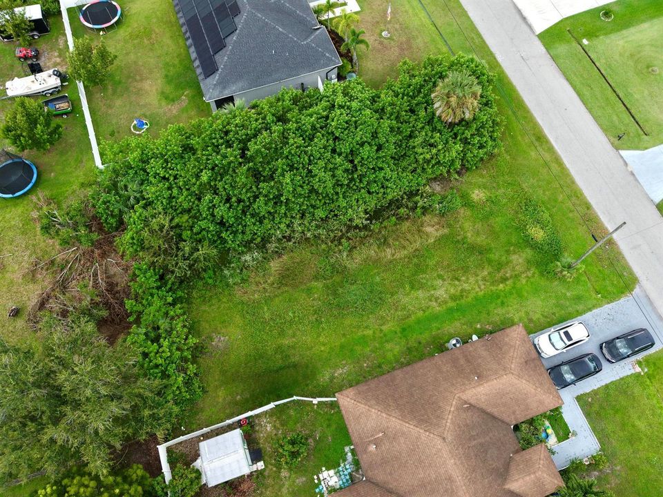 AERIAL