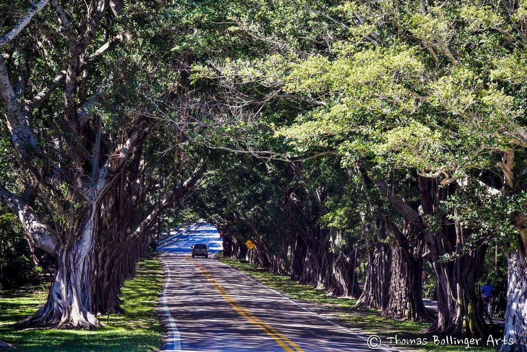 Bridge Road