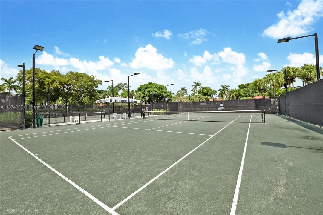 Lighted tennis courts