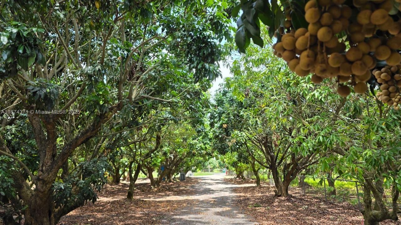 En Venta: $998,000 (3.38 acres)