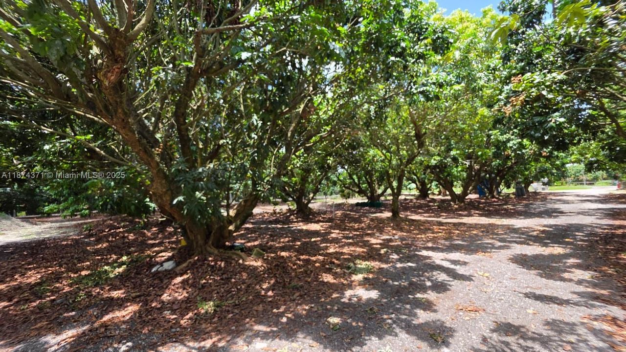 En Venta: $998,000 (3.38 acres)