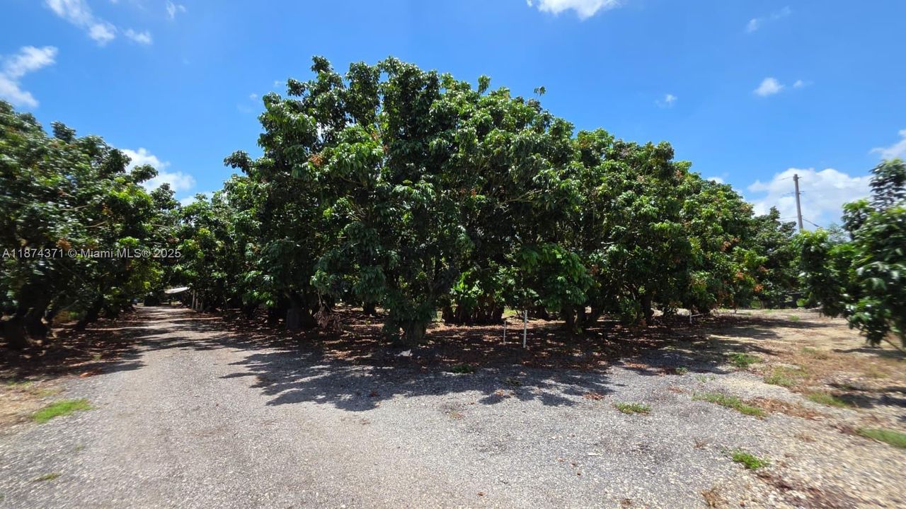 En Venta: $998,000 (3.38 acres)