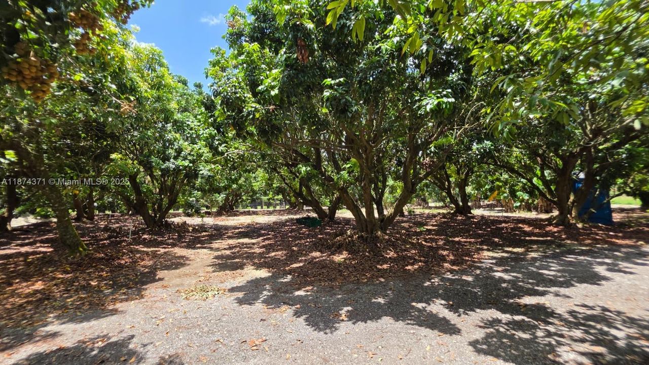 En Venta: $998,000 (3.38 acres)