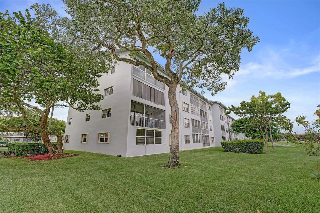 THE BACK OF BUCKINGHAM