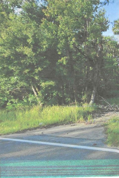 Driveway Entrance to Lot