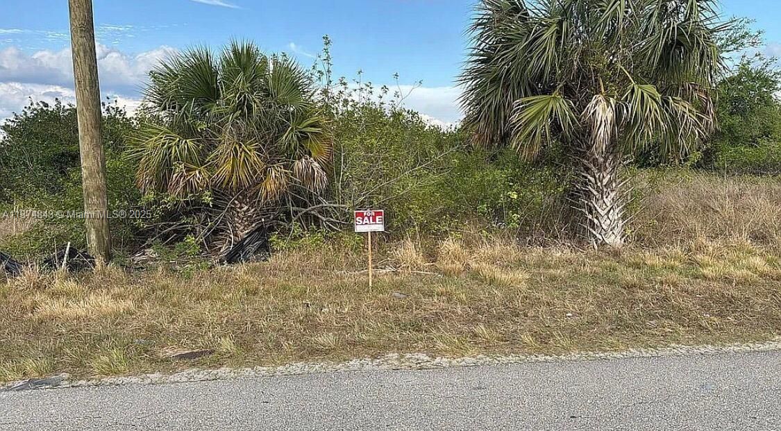 待售: $36,000 (0.24 acres)