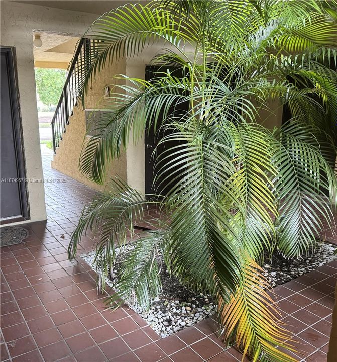 Access to the apartment through the lobby.