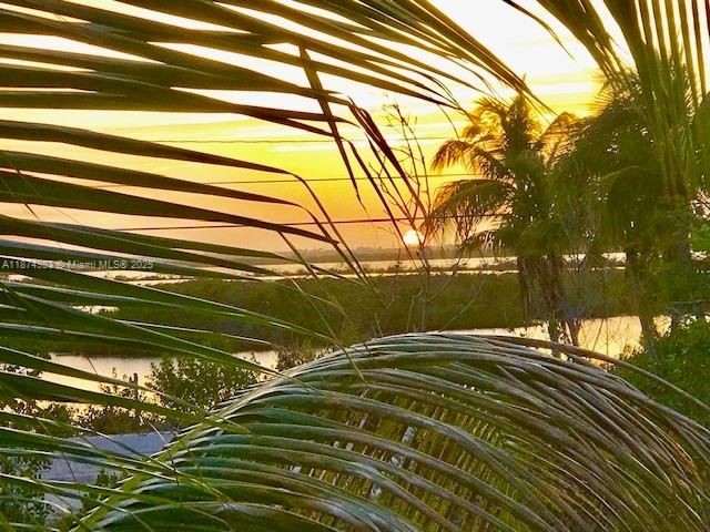 出租: $4,500 (3 贝兹, 1 浴室, 1116 平方英尺)