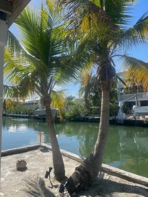 出租: $4,500 (3 贝兹, 1 浴室, 1116 平方英尺)