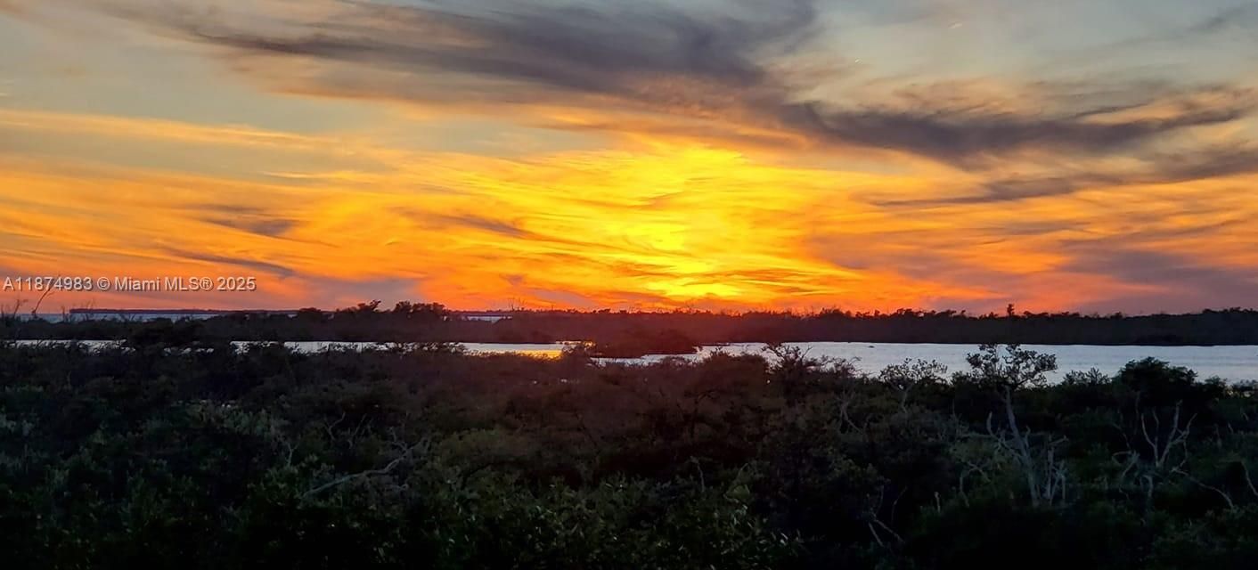 出租: $4,500 (3 贝兹, 1 浴室, 1116 平方英尺)