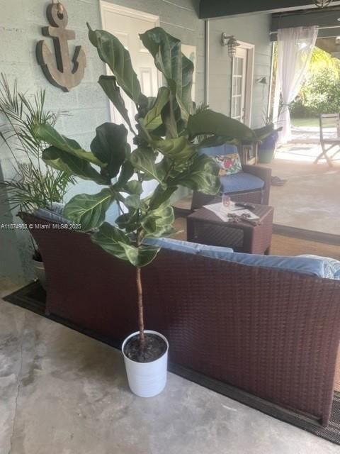 出租: $4,500 (3 贝兹, 1 浴室, 1116 平方英尺)