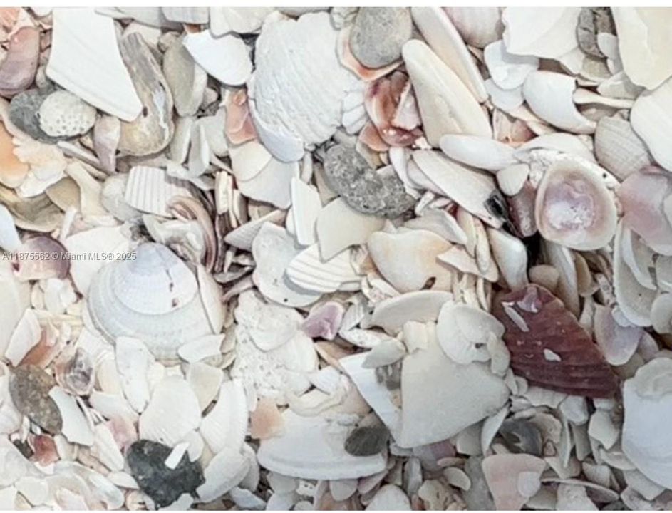 待售: $2,500,000 (3 贝兹, 2 浴室, 0 平方英尺)