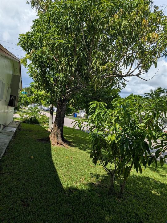 На продажу: $380,000 (2 спален, 2 ванн, 0 Квадратных фут)