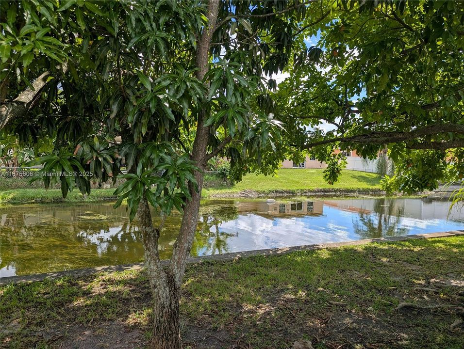 На продажу: $380,000 (2 спален, 2 ванн, 0 Квадратных фут)