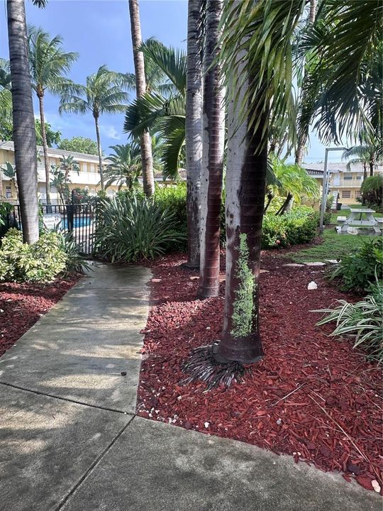 合同活跃: $1,500 (2 贝兹, 1 浴室, 800 平方英尺)