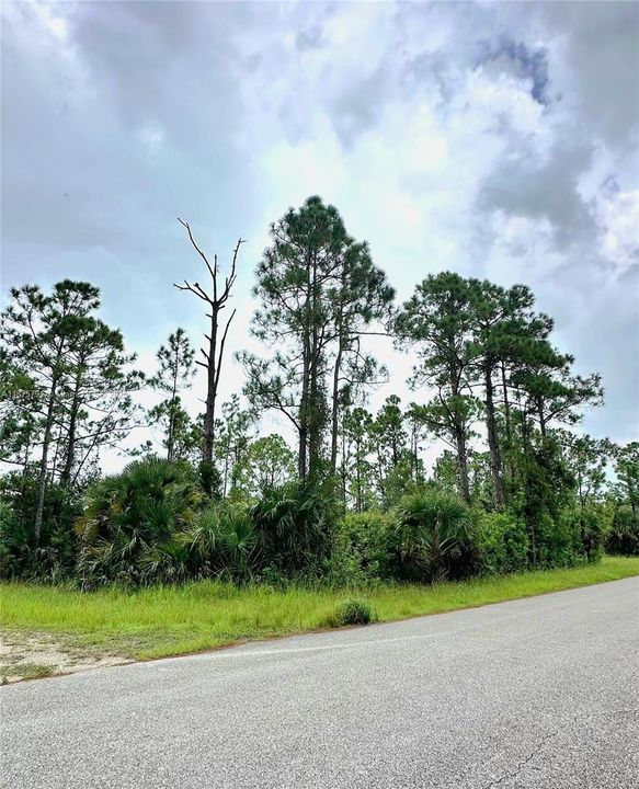 For Sale: $22,900 (0.29 acres)